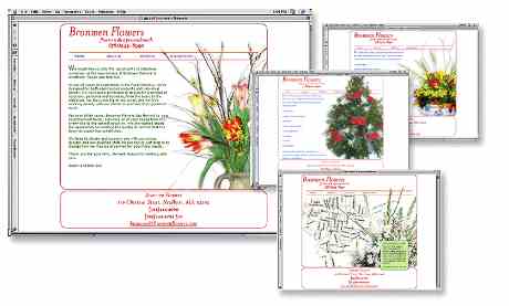 bronwenweb